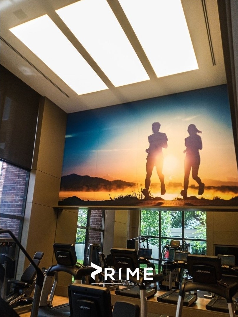 Comunicação Visual Criativa: 8 Ideias com Tela Tensionada